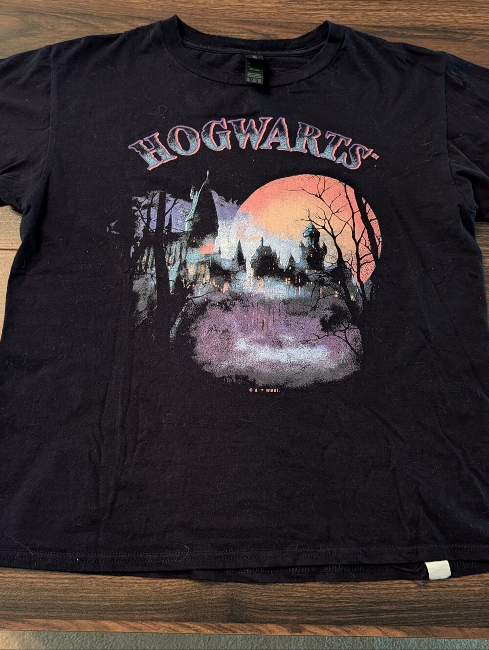 Gildan Black Kids XL Hogwarts Graphic Tee with Sunset Castle Print